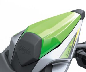 Pillion seat cover
