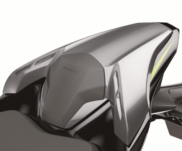 Pillion seat cover