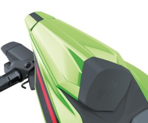 Pillion seat cover