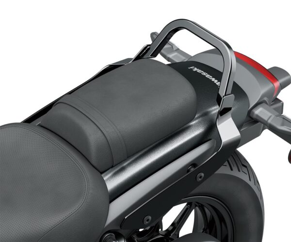 Passenger grab bar - Image 2