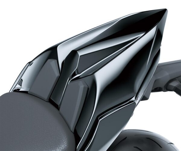 Pillion seat cover