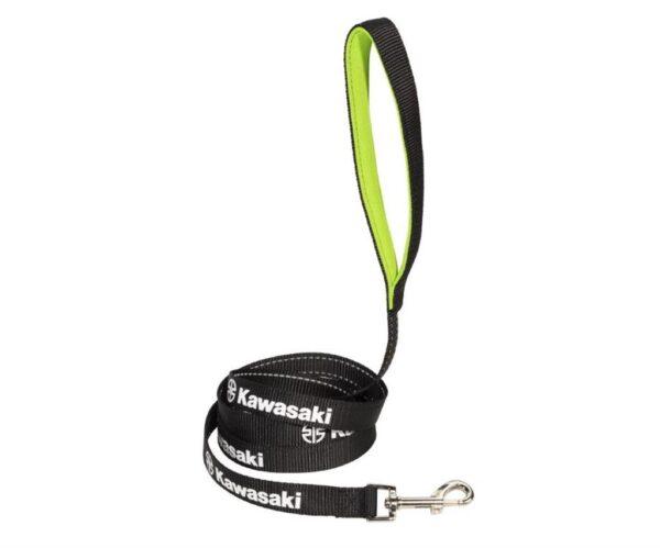 Dog Leash - Image 2