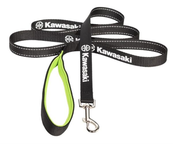 Dog Leash