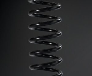 REAR SHOCK SPRING